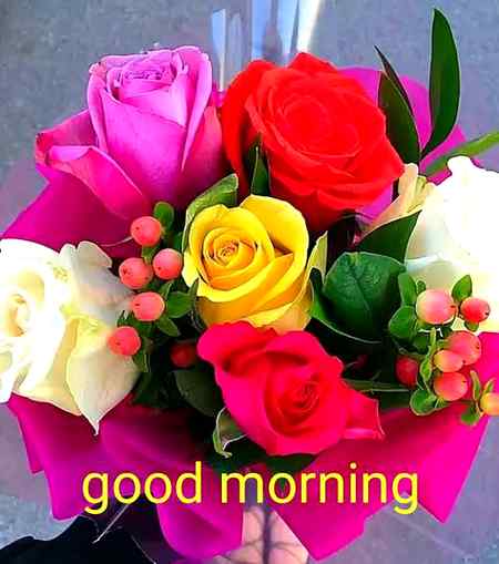 Good morning