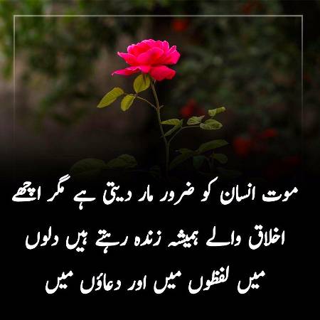Good morning