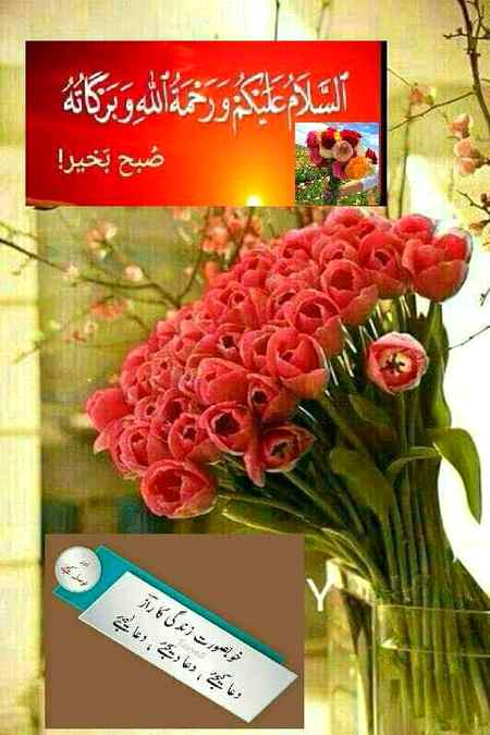 Good morning
