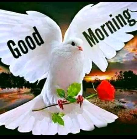 Good morning