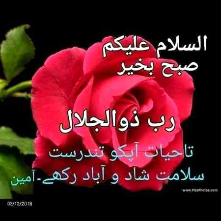 Good morning