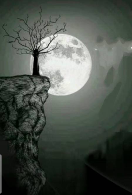 Good night