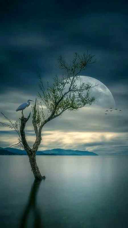 Good night