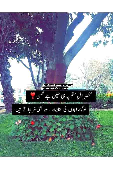Good night