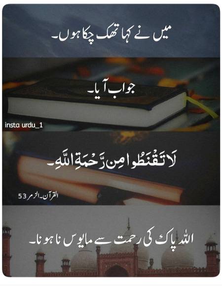 Good night