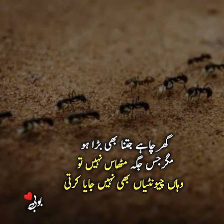 Good night