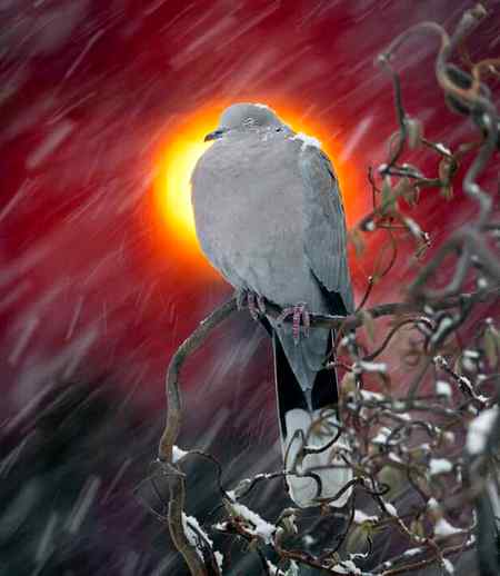 Good night