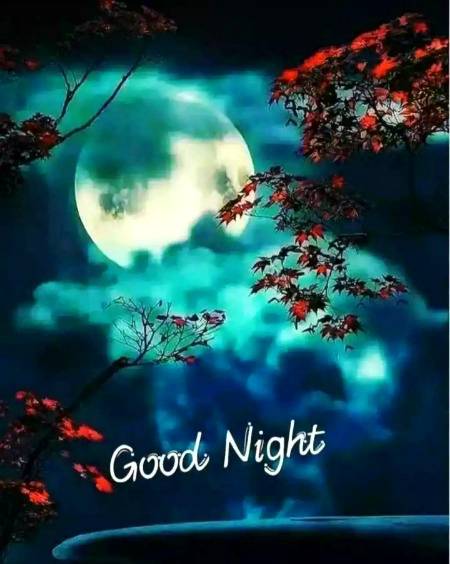 Good night