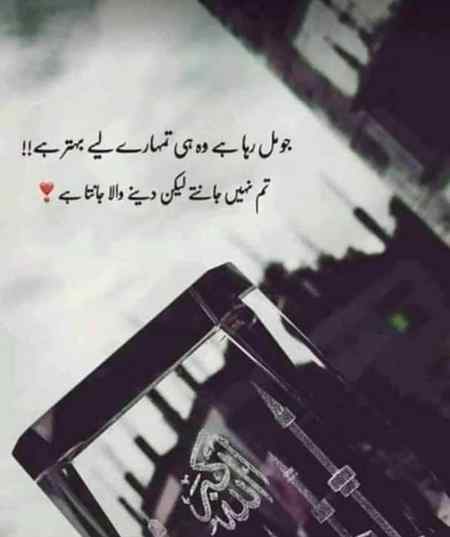 Good night