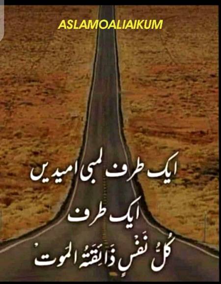 Good night