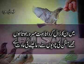 Good night