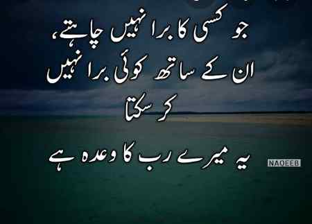 Good night