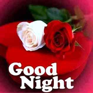 Good night