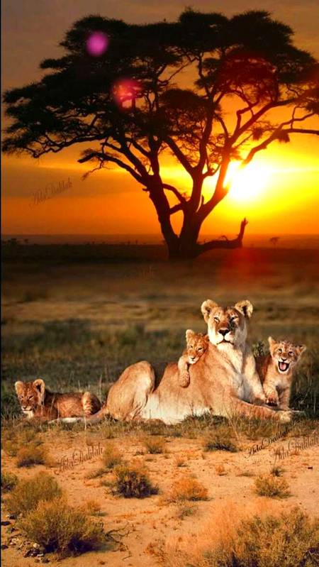 Good night