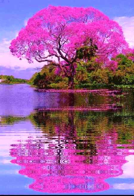 Good night
