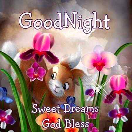 Good night