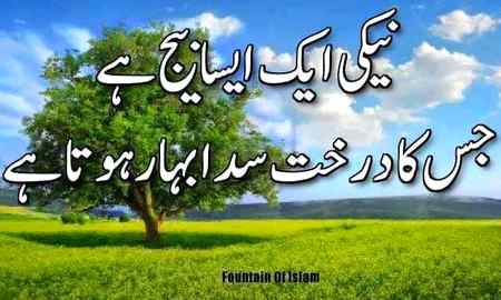 Good night