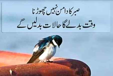 Good night
