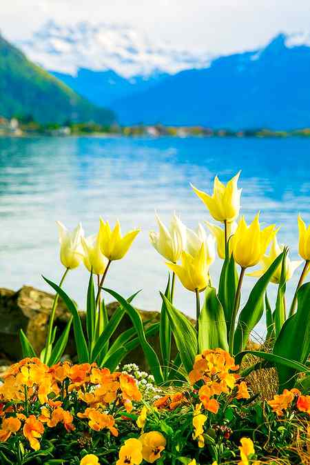 Good night