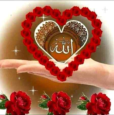 Good night