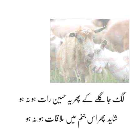 Good night