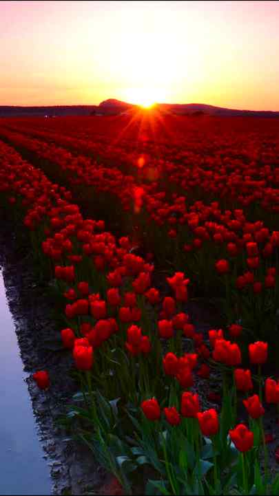 Good night