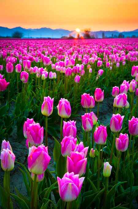 Good night