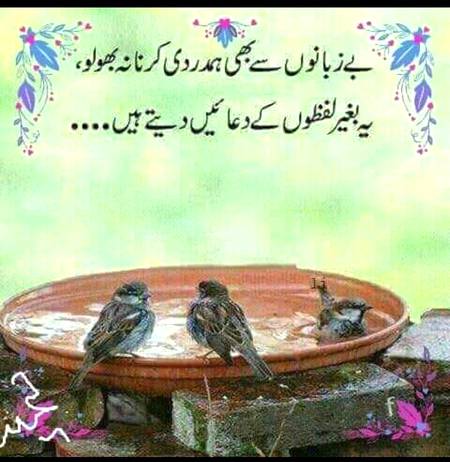 Good night
