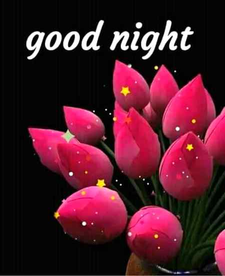 Good night