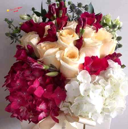 Good night