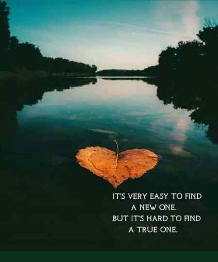 Good night