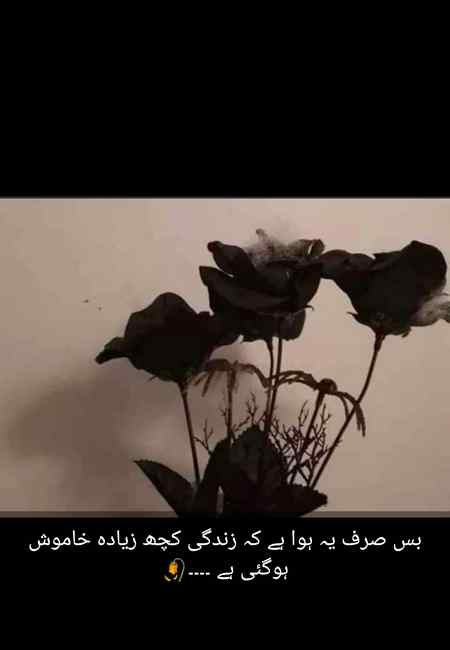 Good night