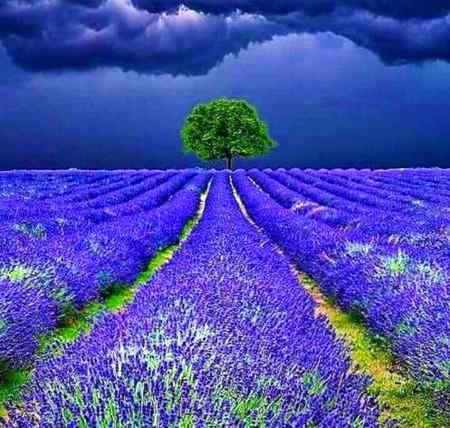 Good night