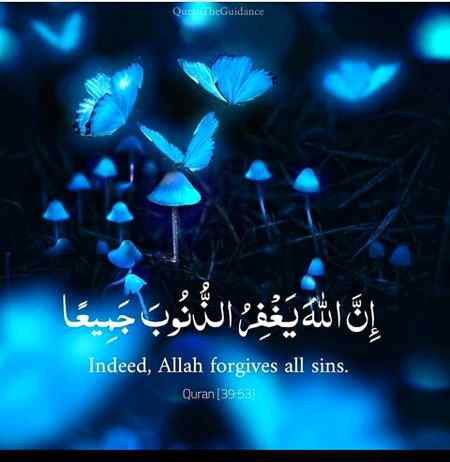 Good night