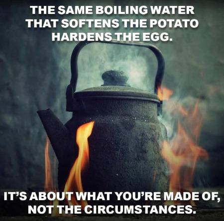 Inspirational quote, success quote, motivational quote, motivation quote