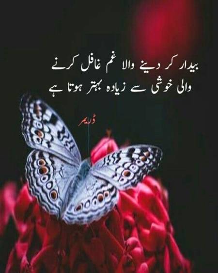 Inspirational quote, success quote, motivational quote, motivation quote