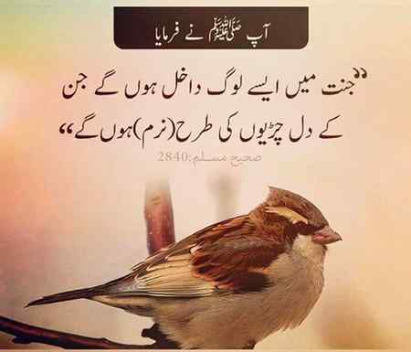 Jumma mubarak