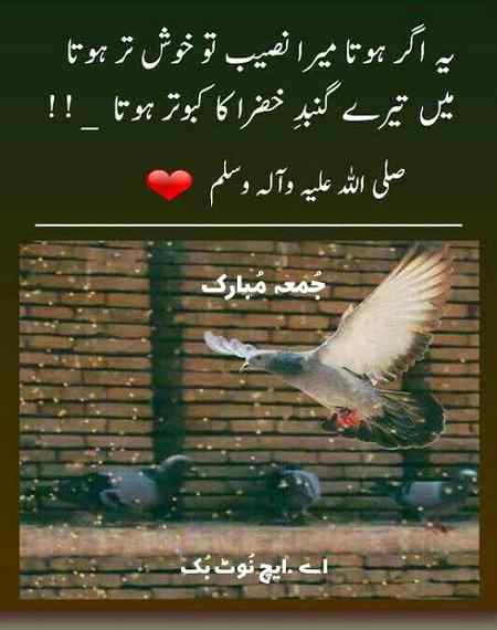 Jumma mubarak
