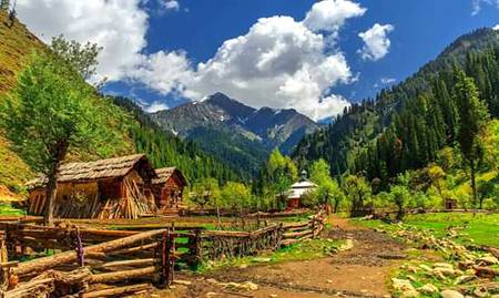 Kashmir