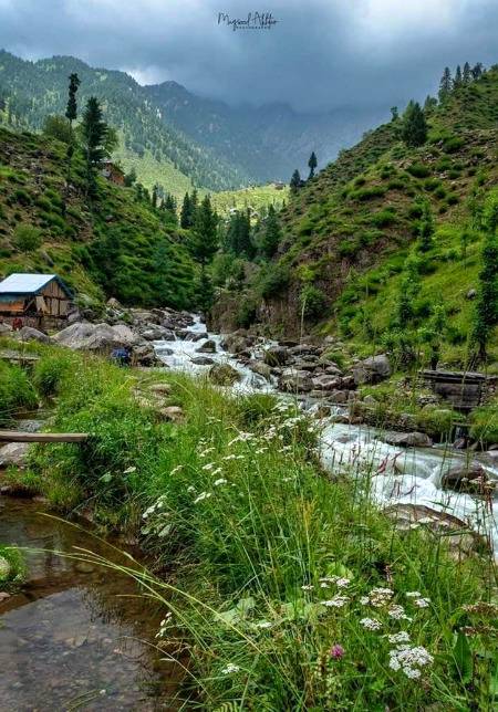 Kashmir