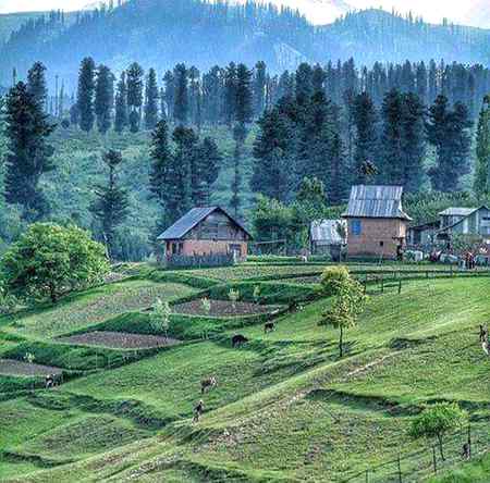 Kashmir