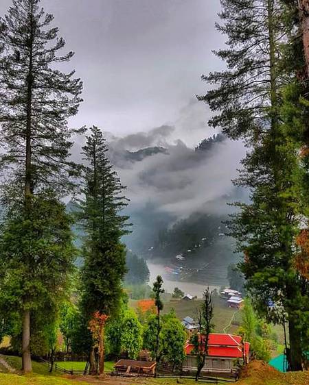 Kashmir