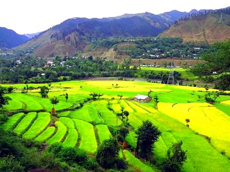 Kashmir
