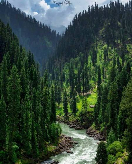 Kashmir