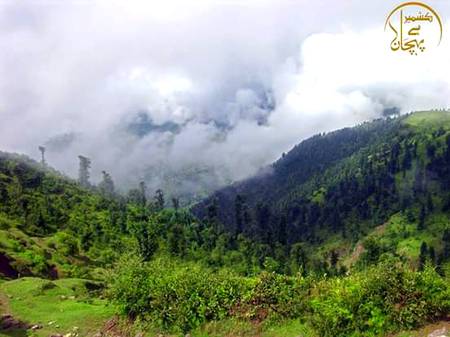 Kashmir