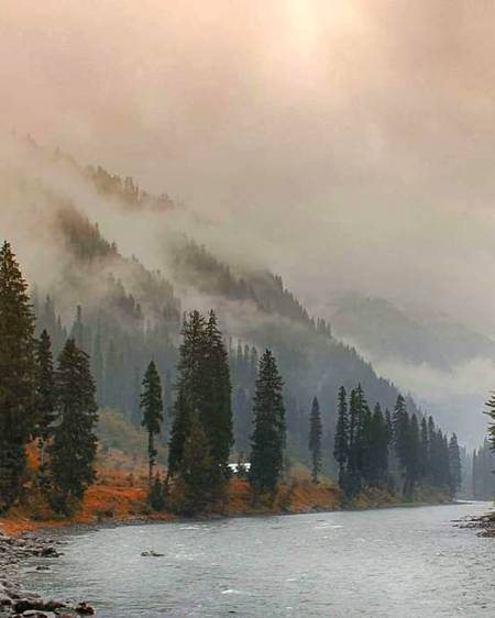 Kashmir