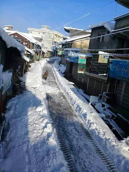 Kashmir