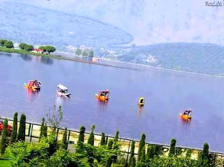 Kashmir