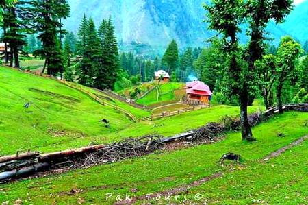 Kashmir