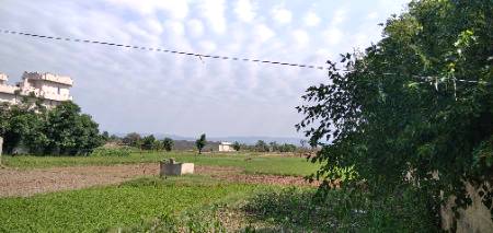 Kashmir